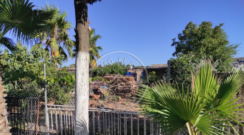 Sevilla - La Luisiana - 18000m2
