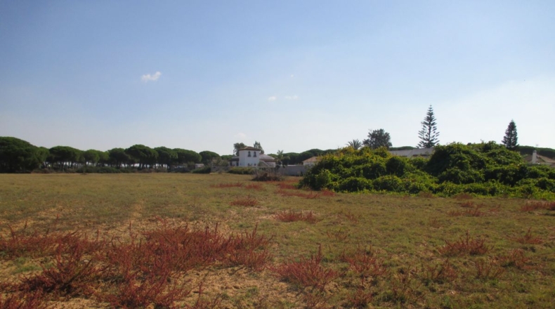 Кадис - Casa de Postas - 12500m2