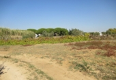 Terreny no urbanitzable en venda a Conil de la Frontera ref.: TR386722 foto