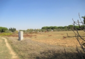 Terreny no urbanitzable en venda a Conil de la Frontera ref.: TR386722 foto