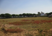 Terreny no urbanitzable en venda a Conil de la Frontera ref.: TR386722 foto
