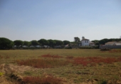Terreny no urbanitzable en venda a Conil de la Frontera ref.: TR386722 foto