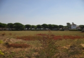 Terreny no urbanitzable en venda a Conil de la Frontera ref.: TR386722 foto