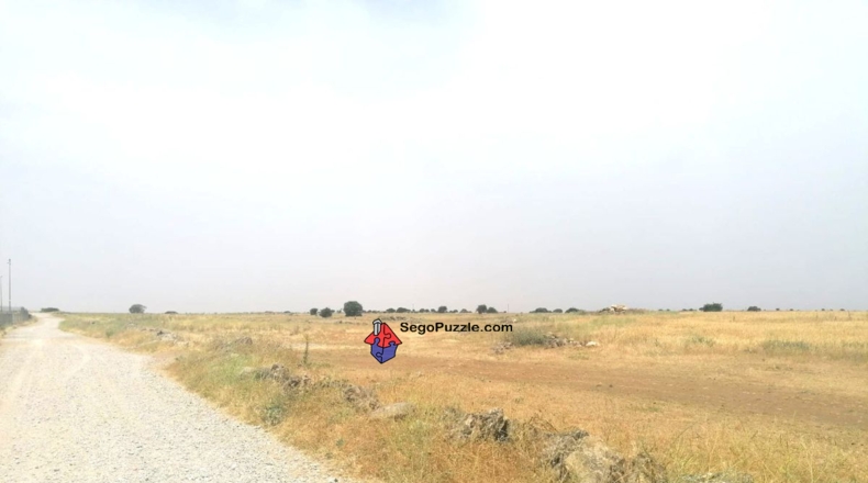 Soria - San Leonardo de Yagüe - 74781m2