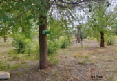 Casa de campo con terreno en venta en Valdepeñas ref: TR385165 foto