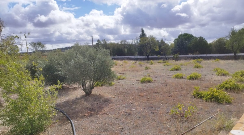 Сьюдад-Реаль - Valdepeñas - 7000m2