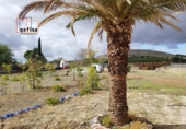 Casa de campo con terreno en venta en Valdepeñas ref: TR385165 foto