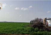 Casa de campo con terreno en venta en Malagón ref: TR387809 foto