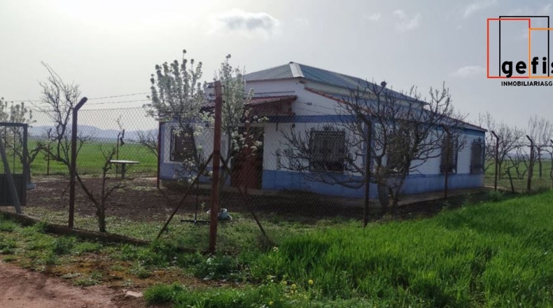 Ciudad Real - Valdepeñas - 1000m2