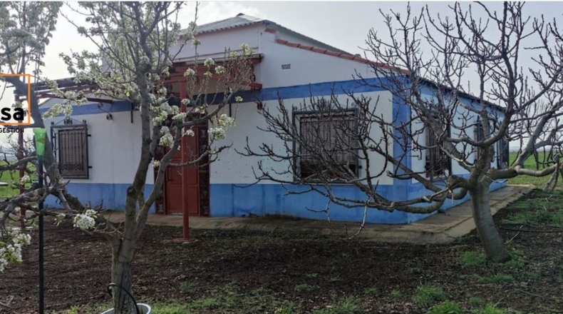 Ciudad Real - Valdepeñas - 1000m2