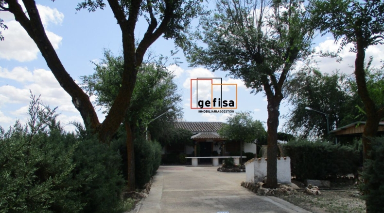 Ciudad Real - Santa Cruz de los Cáñamos - 4251m2