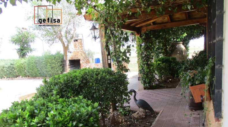 Ciudad Real - Santa Cruz de los Cáñamos - 4251m2