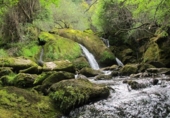 Urban land for sale in Nava de Mena ref: TR385203 photo