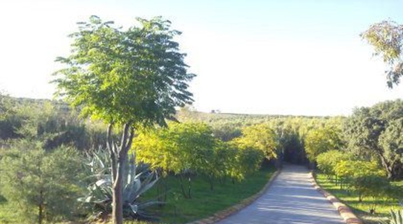Ávila - Santa María de los Caballeros - 44000m2