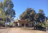Finca rústica en venda a Villalba de los Barros ref.: TR386040 foto