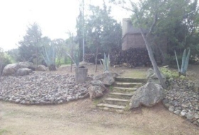 Foto 19
