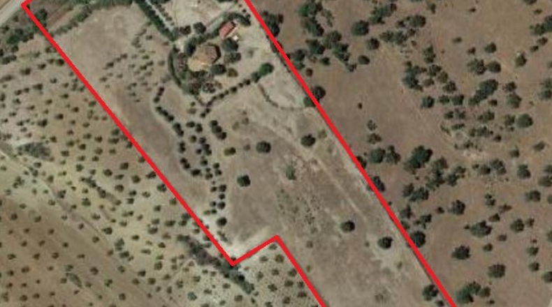Ávila - Santa María de los Caballeros - 44000m2