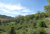 Finca rústica en venda a Antequera ref.: TR385789 foto