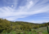 Finca rústica en venda a Antequera ref.: TR385789 foto