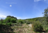 Finca rústica en venda a Antequera ref.: TR385789 foto