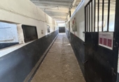 Rural estate for sale in Ronda ref: TR385424 photo