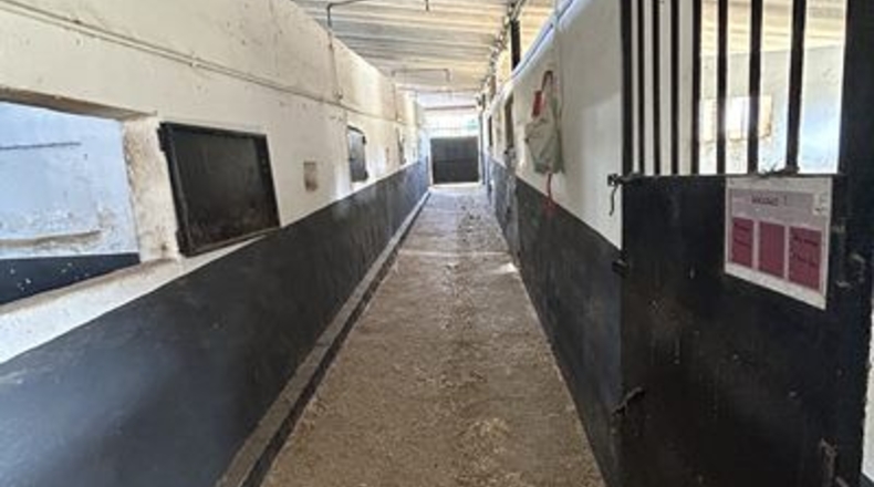 Málaga - Ronda - 500m2