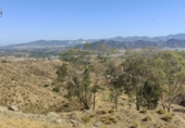 Rural estate for sale in Estación de Cártama ref: TR386318 photo
