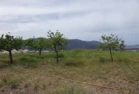 Cáñar 996&nbsp;m²