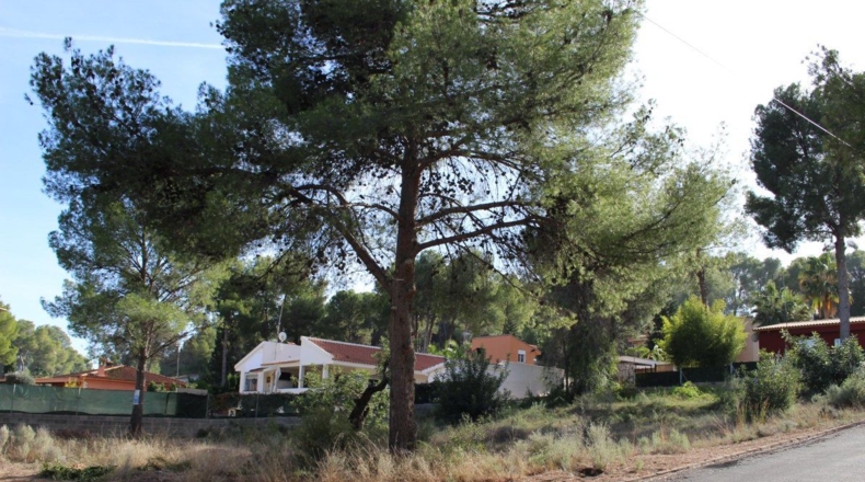 Valencia - Torres Torres - 1135m2