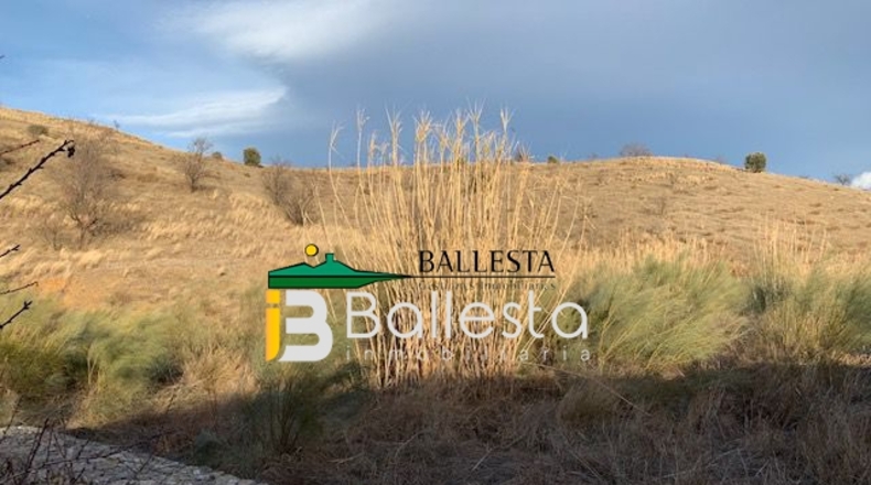 Almería - Vélez-Rubio - 52234m2