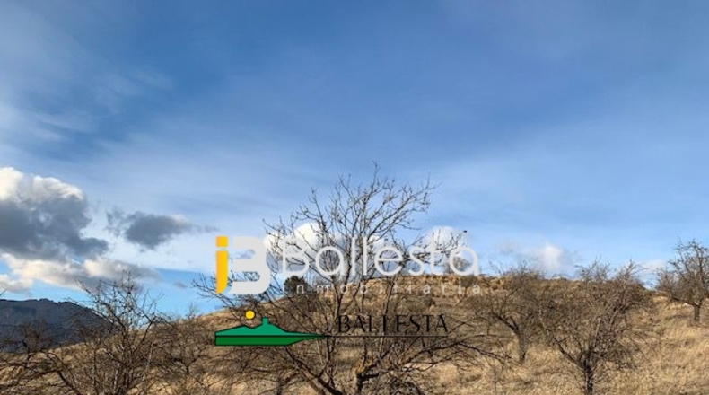Almería - Vélez-Rubio - 52234m2