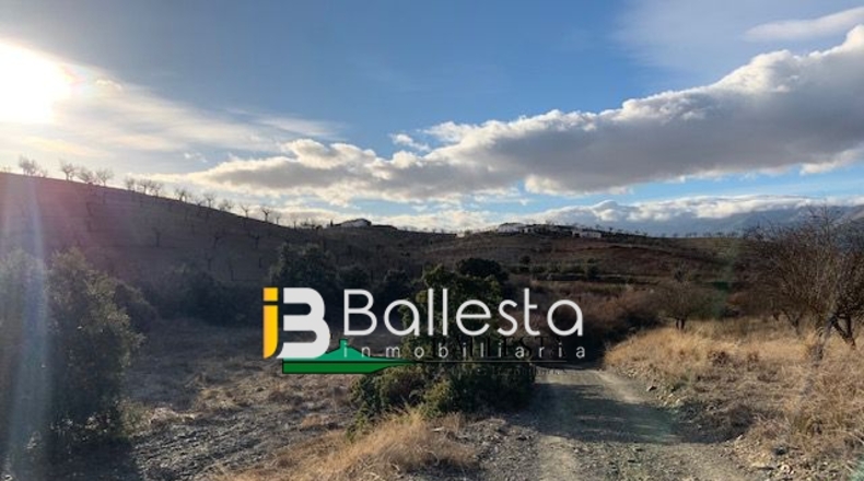 Almería - Vélez-Rubio - 52234m2