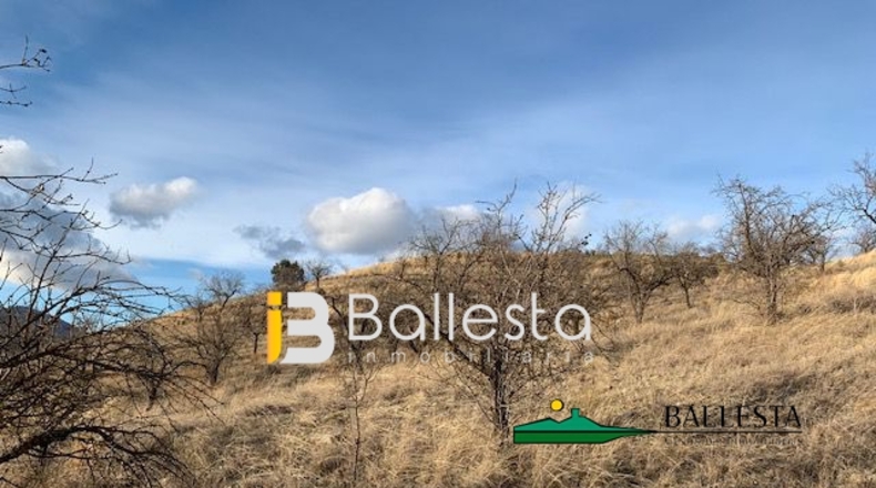 Almería - Vélez-Rubio - 52234m2