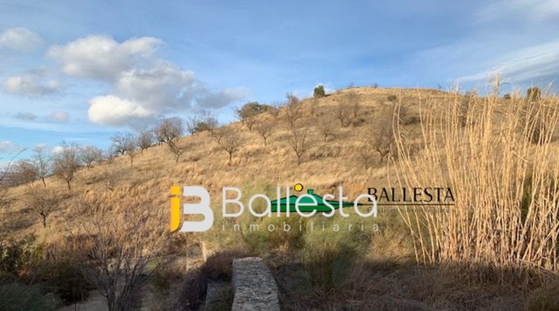 Almería - Vélez-Rubio - 52234m2
