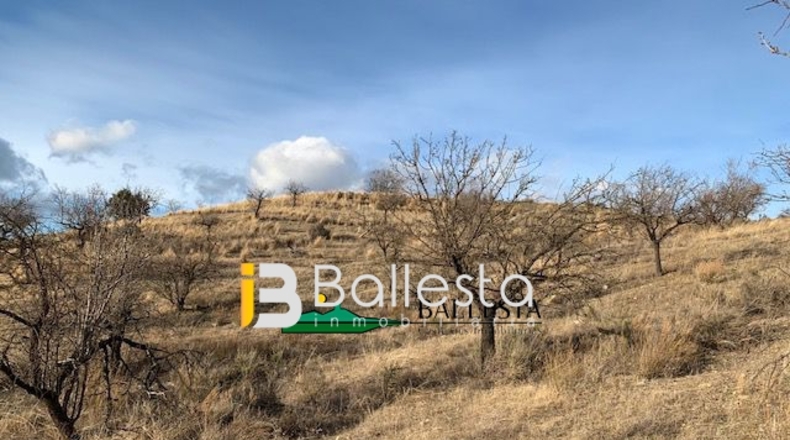 Almería - Vélez-Rubio - 52234m2
