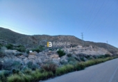 Terreny no urbanitzable en venda a la España, Cuevas del Almanzora, ref.: TR387787 foto
