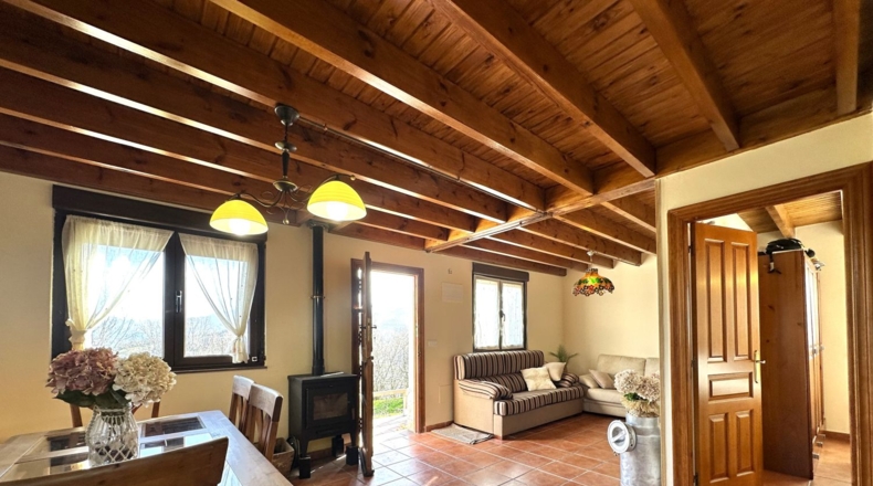 Asturias - Pola de Laviana - 7500m2