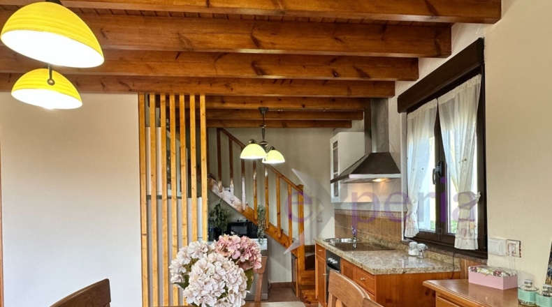 Asturias - Pola de Laviana - 7500m2