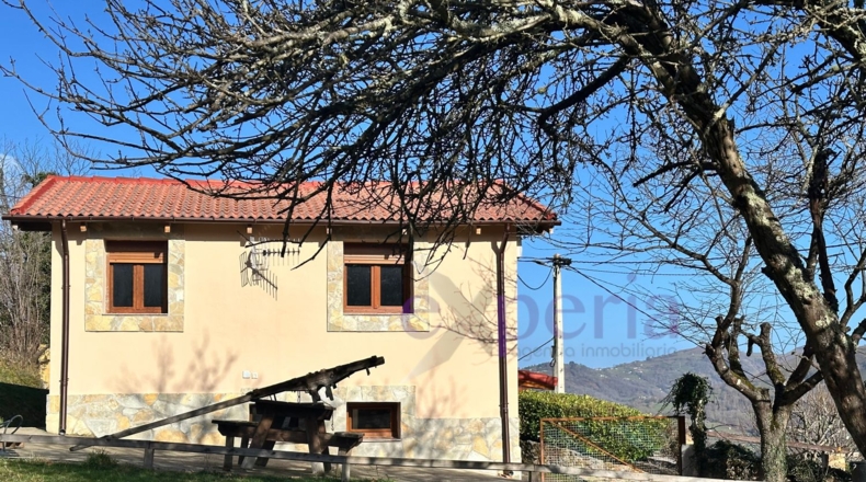 Asturias - Pola de Laviana - 7500m2