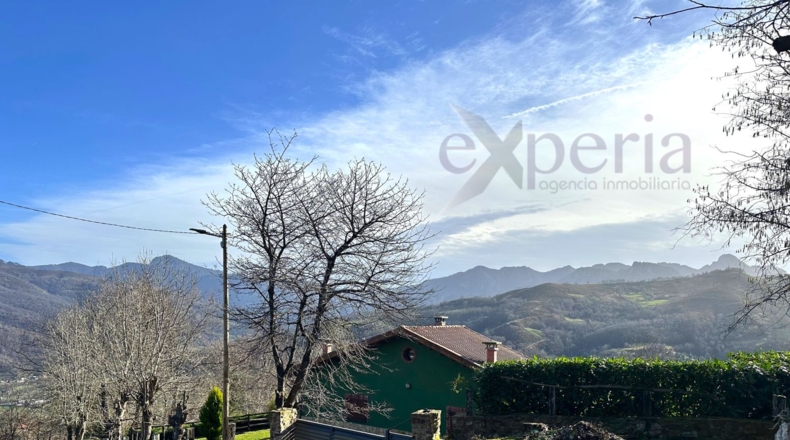 Asturias - Pola de Laviana - 7500m2