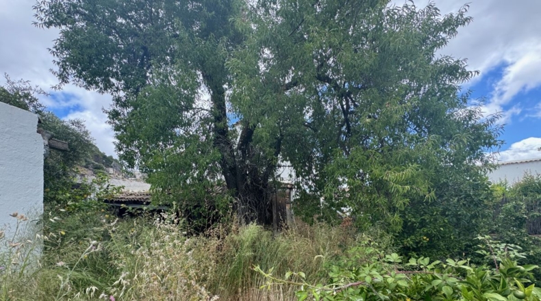Кадис - Grazalema - 224m2