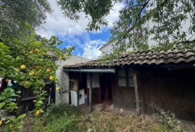 Foto 15