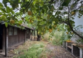Городская земля под застройку на продажу у города Grazalema. Фото
