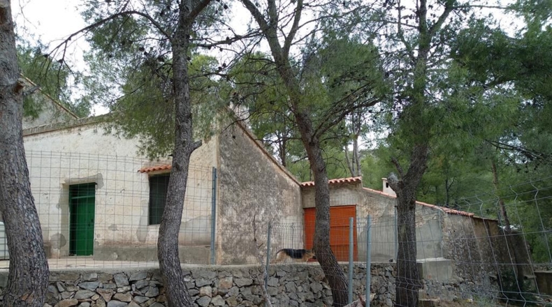 Castellón - Borriol - 68000m2