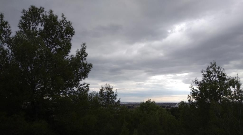 Castellón - Borriol - 68000m2