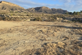 Dénia 12429&nbsp;m²