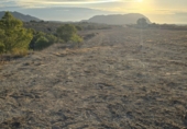 Non-developable land for sale in Dénia ref: TR386618 photo
