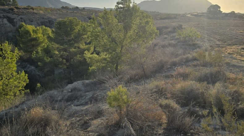Valencia - Alboraya - 12429m2