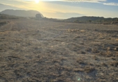 Non-developable land for sale in Dénia ref: TR386618 photo