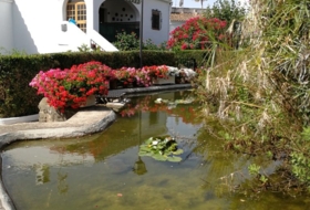 San Roque 92&nbsp;m² 